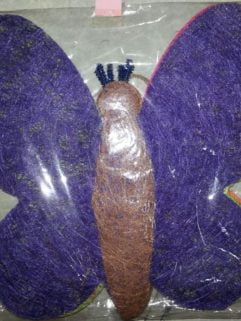 DIY Display Butterfly (M)