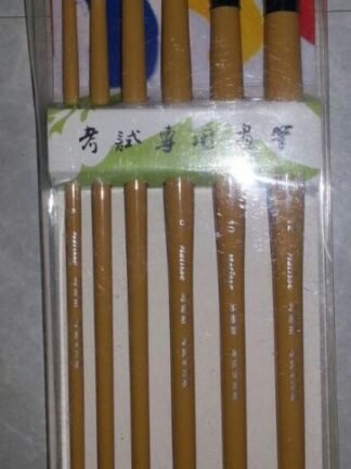 Paint Brush 902 6 pcs/pkt