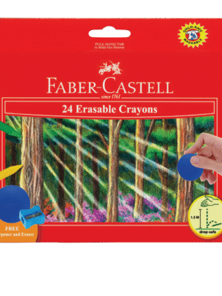 Erasble Crayons set-24