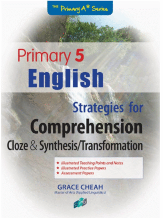 Primary 5 English Strategies for Comprehension - Cloze & Synthesis/Transformation