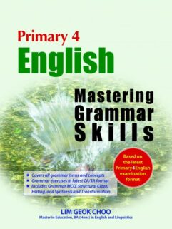 Primary 4 English: Mastering Grammar Skills