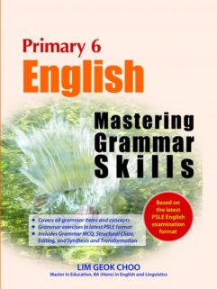 Primary 6 English: Mastering Grammar Skills