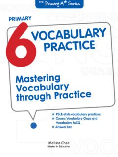 Primary 6 English Vocabulary Practice