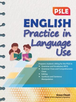 PSLE English Practice in Language Use
